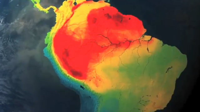 Rezultati istraživanja kažu da je Zemlja na rubu masovnog izumiranja