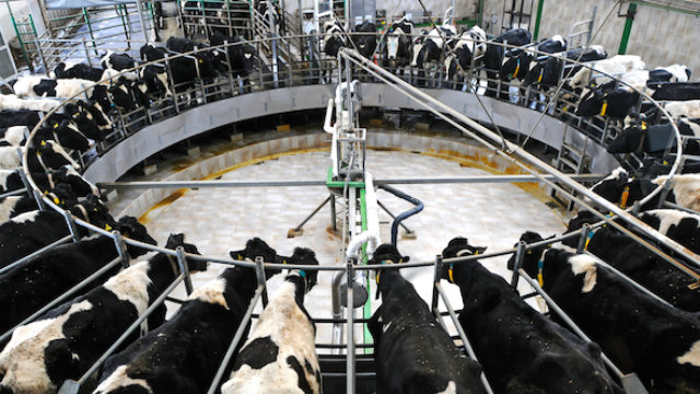 Spasiti planetu, obrok po obrok